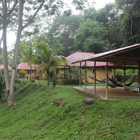 Cordillera Escalera Lodge Tarapoto Ngoại thất bức ảnh