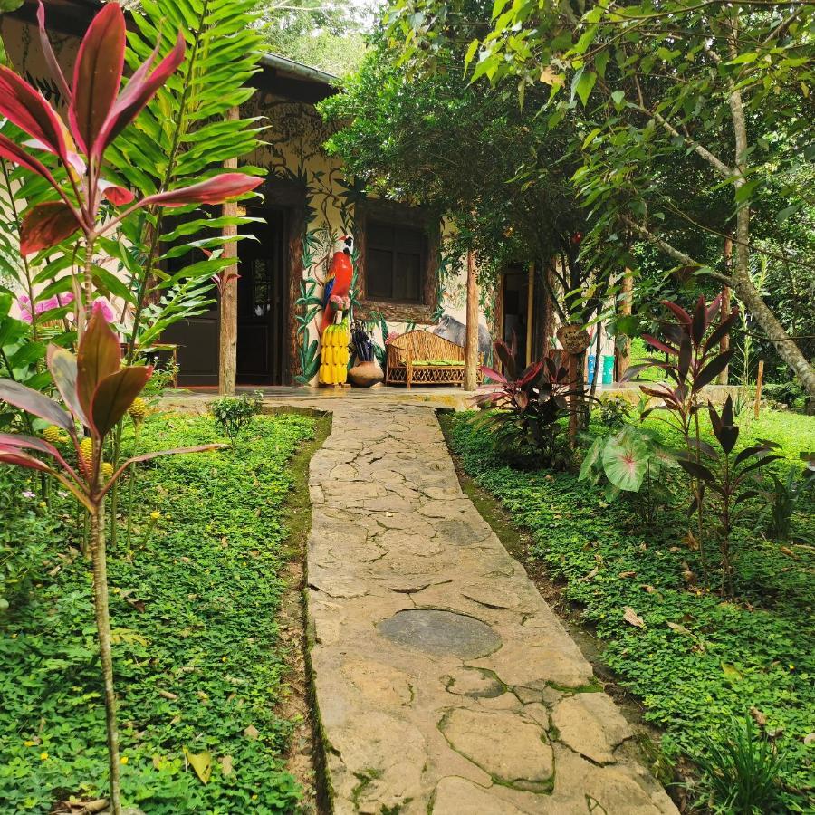 Cordillera Escalera Lodge Tarapoto Ngoại thất bức ảnh