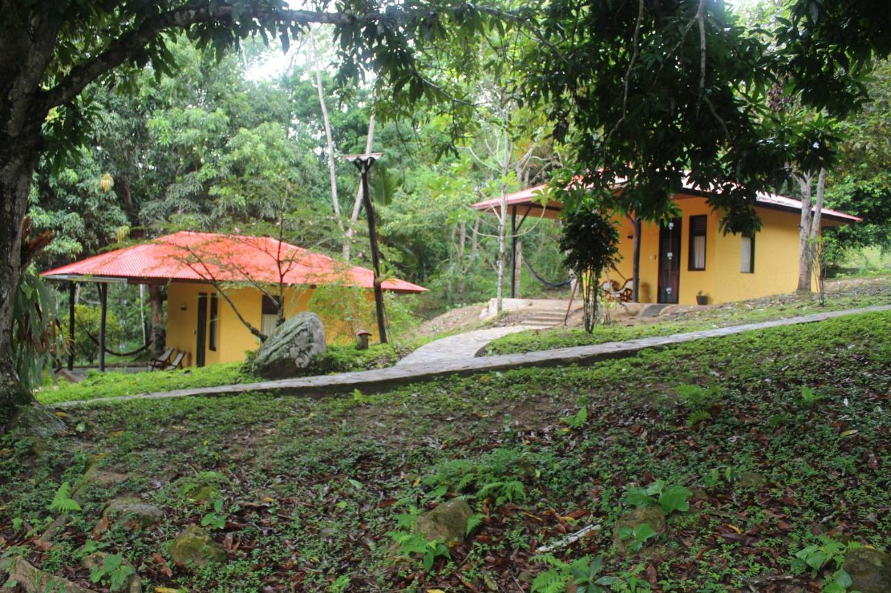 Cordillera Escalera Lodge Tarapoto Ngoại thất bức ảnh