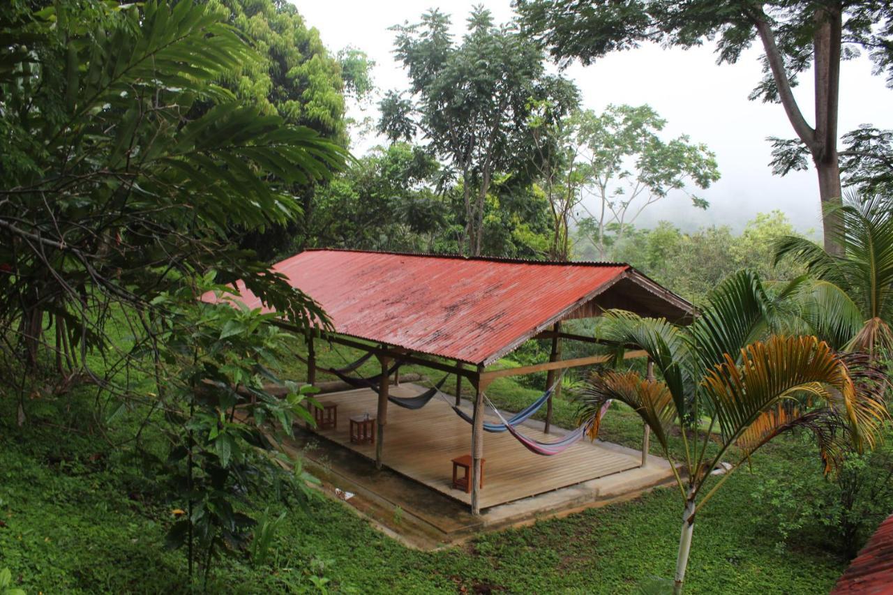 Cordillera Escalera Lodge Tarapoto Ngoại thất bức ảnh