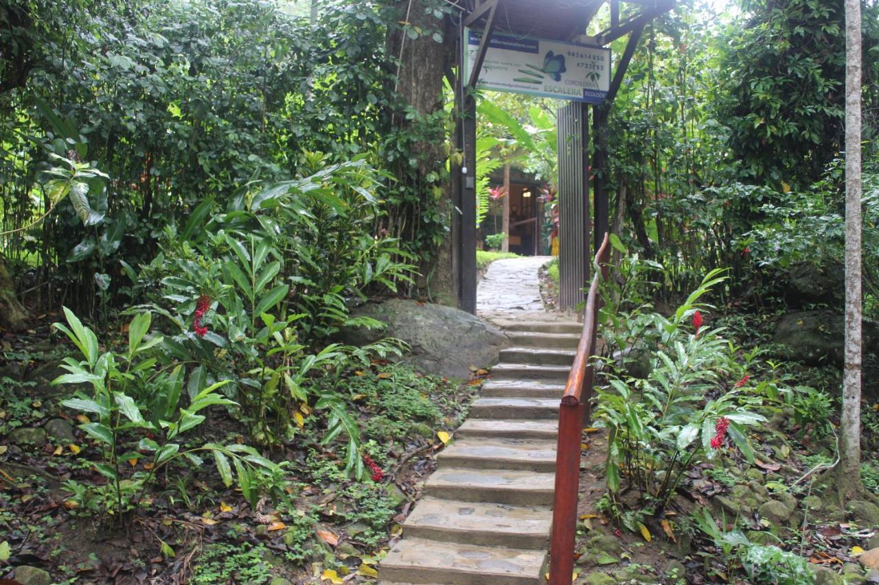 Cordillera Escalera Lodge Tarapoto Ngoại thất bức ảnh