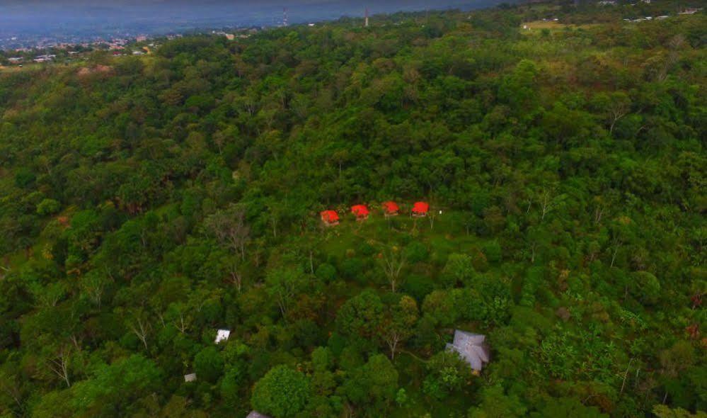 Cordillera Escalera Lodge Tarapoto Ngoại thất bức ảnh