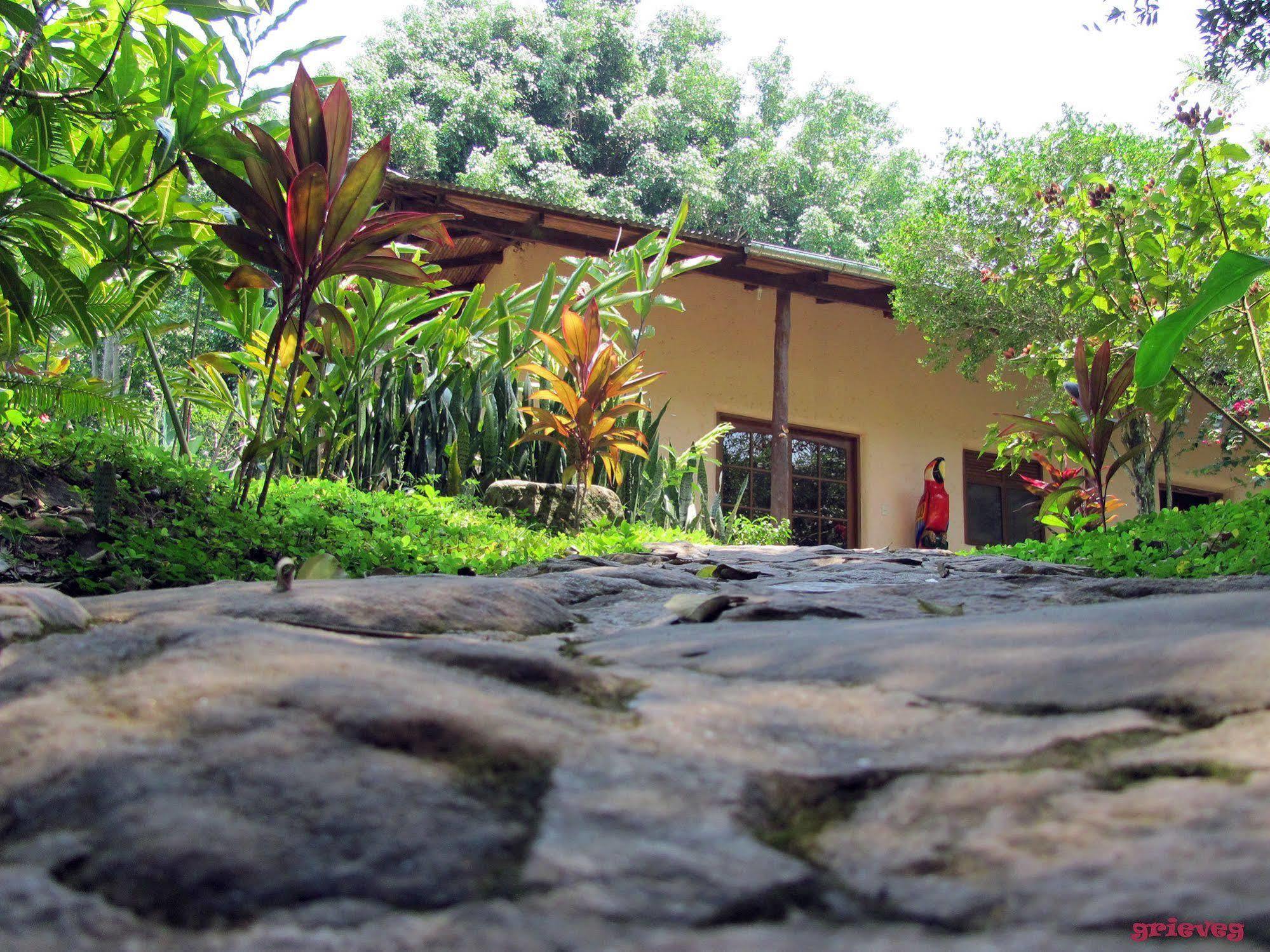 Cordillera Escalera Lodge Tarapoto Ngoại thất bức ảnh