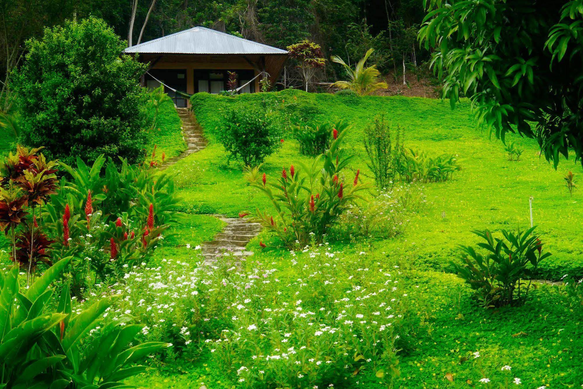 Cordillera Escalera Lodge Tarapoto Ngoại thất bức ảnh