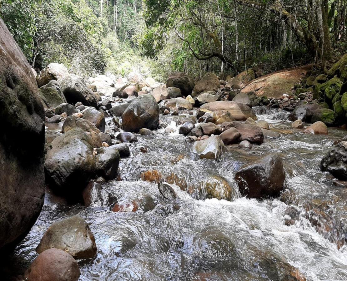 Cordillera Escalera Lodge Tarapoto Ngoại thất bức ảnh