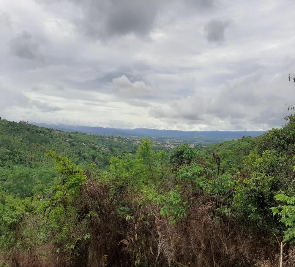Cordillera Escalera Lodge Tarapoto Ngoại thất bức ảnh